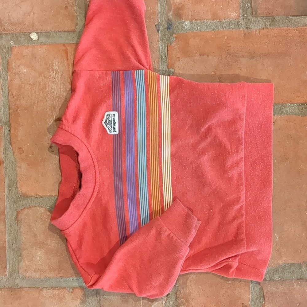 Patagonia sweatshirt